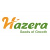 Hazera