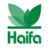 Haifa