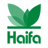 Haifa