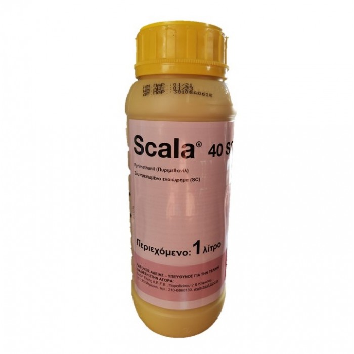 Scala 40 SC 1L