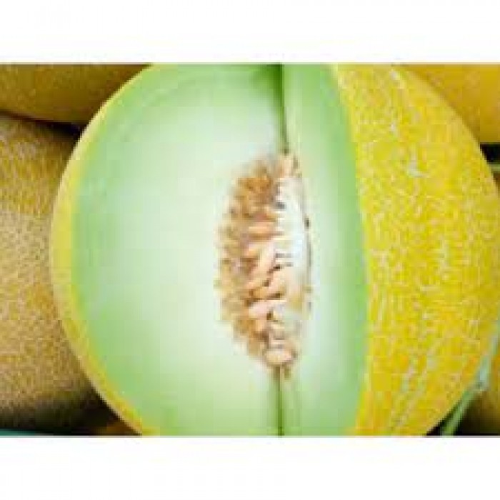 Πεπόνι KIRENE F1 1.000Seeds