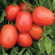 Τομάτα RIO GRANDE 250gr